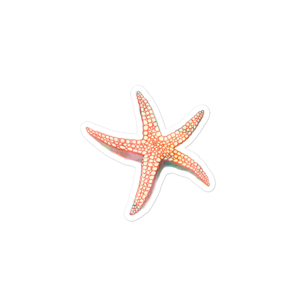 Starfish Stickers - Aquamarine Design - Artistic Gifts for Women - Art by Artist Tania Herrera from Aquamarine Design Studio