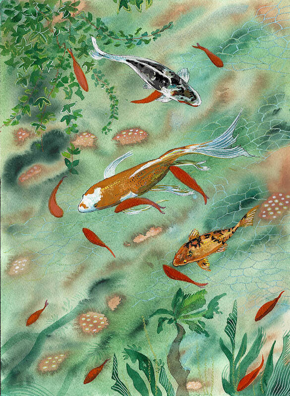 Koi Fish in Serene Pond - Art Print