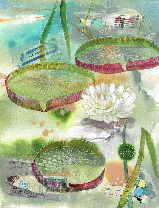 Irupe en Flor - Art Print