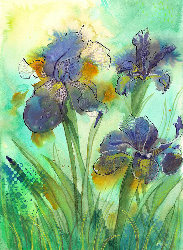 Purple Irises - Art Print