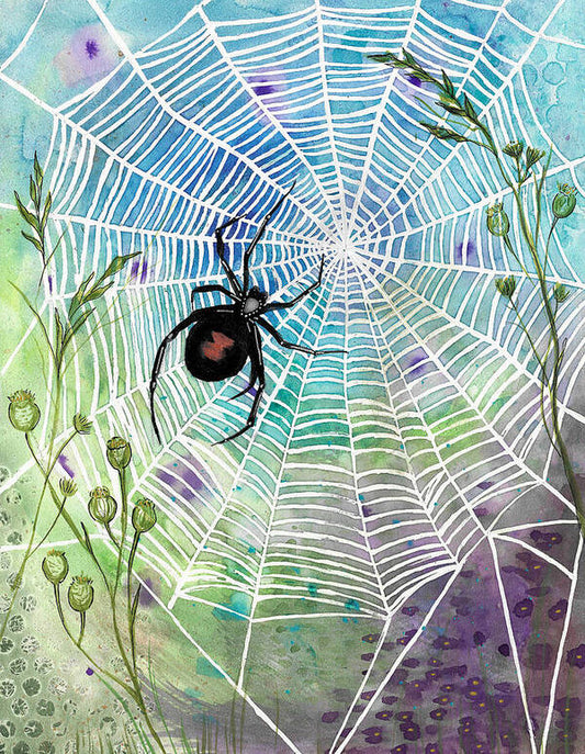 Spider on Colorful Web - Art Print