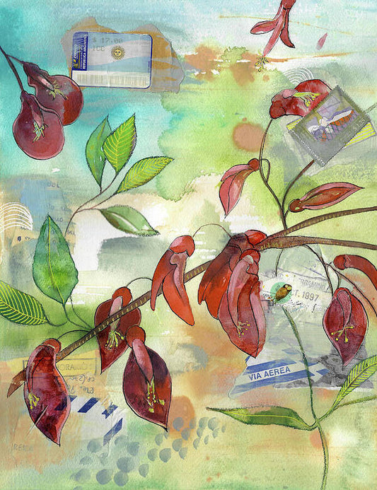 El Ceibo - Art Print