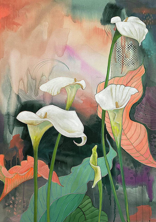 White Calla Lilies - Art Print